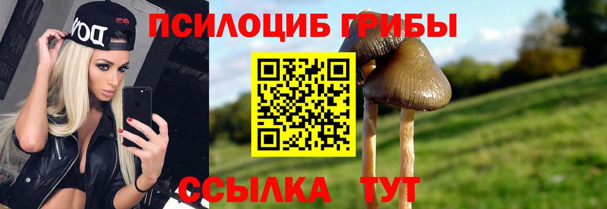 Биробиджан  Псилоцибиновые грибы Psilocybine cubensis  купить  сайты  Вход с VPN  Галлюциногенные грибы MAGIC MUSHROOMS 